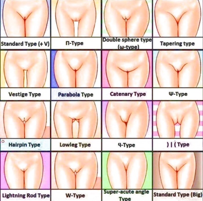 Types Of Pussy 59 Photos Sex Pics