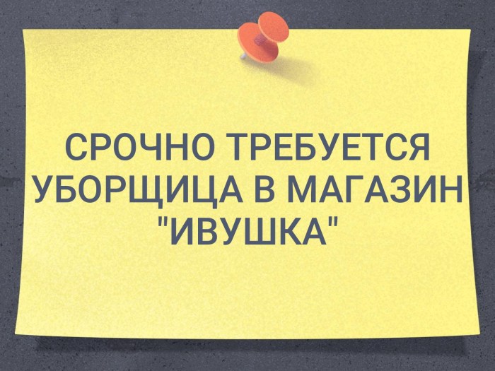 Girl with a vacuum cleaner