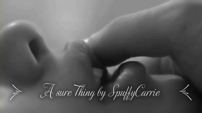 Beautiful erotic couples