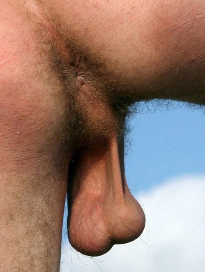 Big hairy eggs of a man