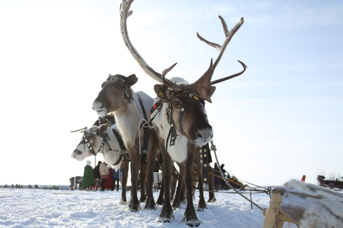 Folk art and intangible cultural heritage of peoples