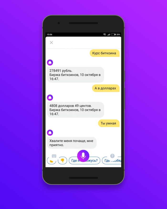 Voice Assistant Misha