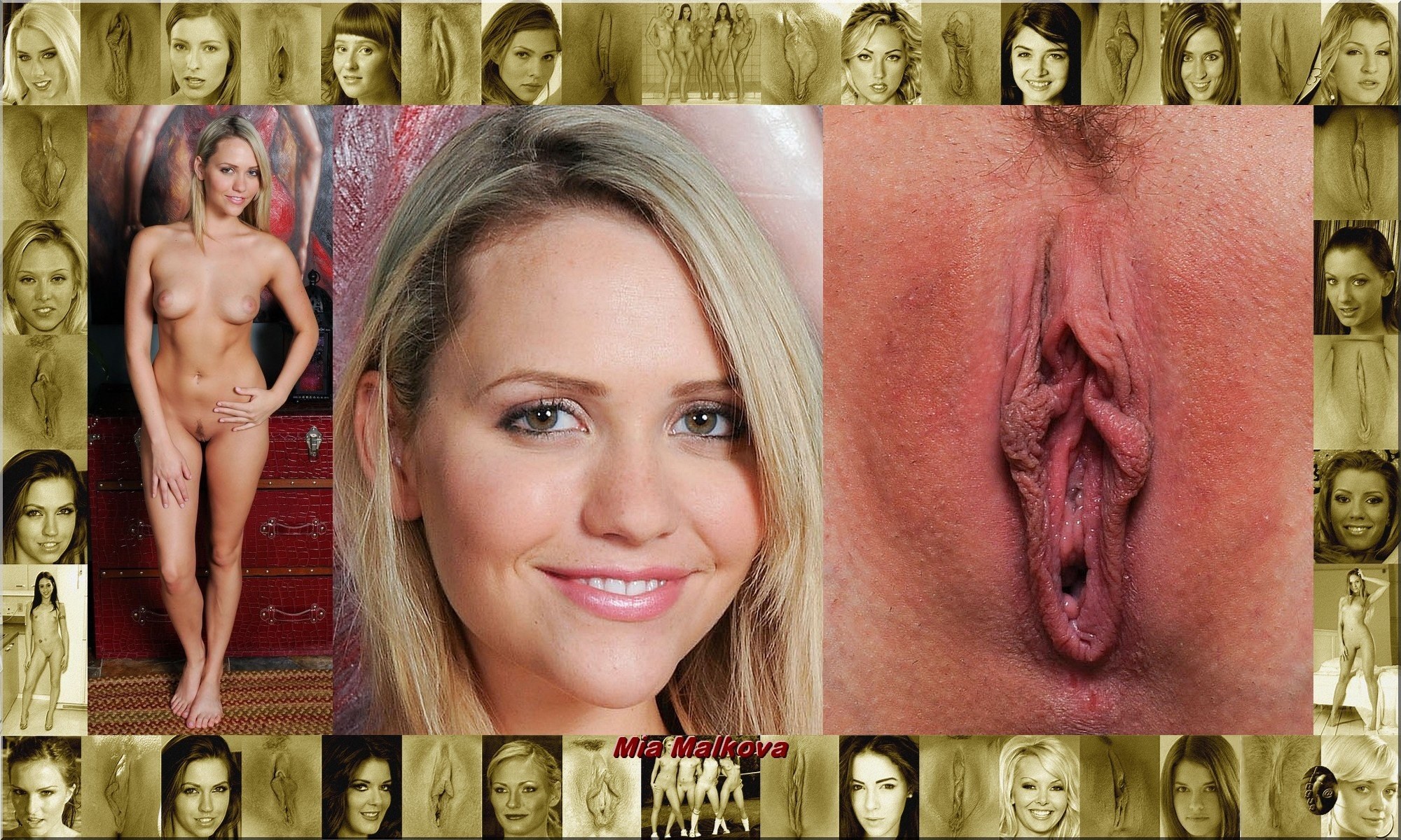 2000px x 1200px - Porn vagina actresses Hollywood (56 photos) - sex eporner pics