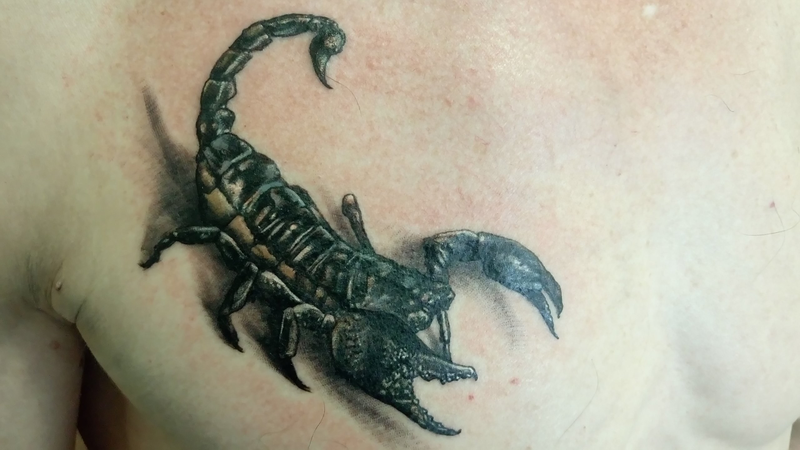 scorpio tattoo amatuer homemade