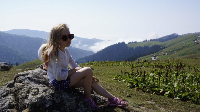 Toshiba GR-RT565RS (LS) refrigerator