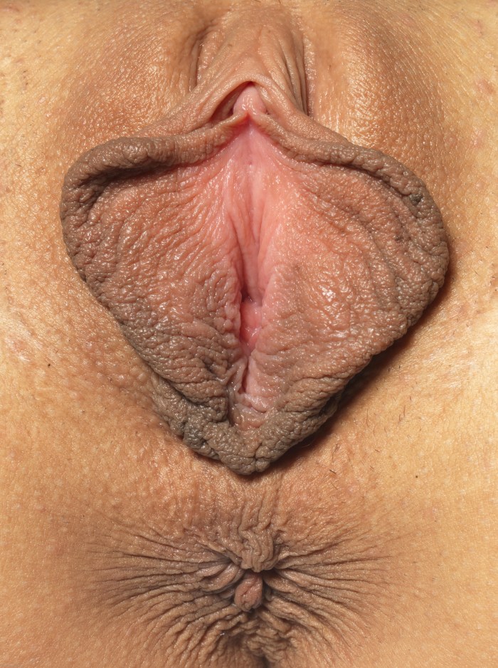 Beautiful female vaginas
