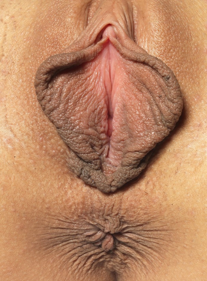 Dominica Chibova 2020 Vagina