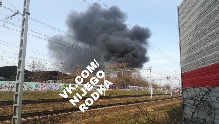 Kalinka Fox Cosplay Fiona