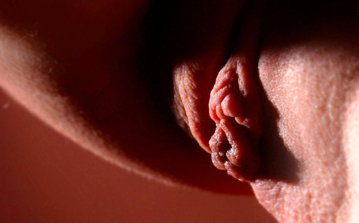 Women's sexual genitals