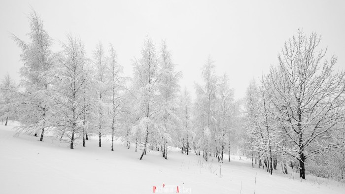 Teach ru uchi.ru teach ru uchi.ru