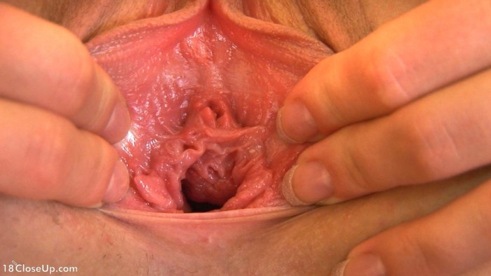 The vagina of the girl inside