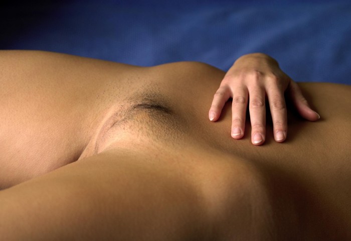 Beautiful hairy female pubis