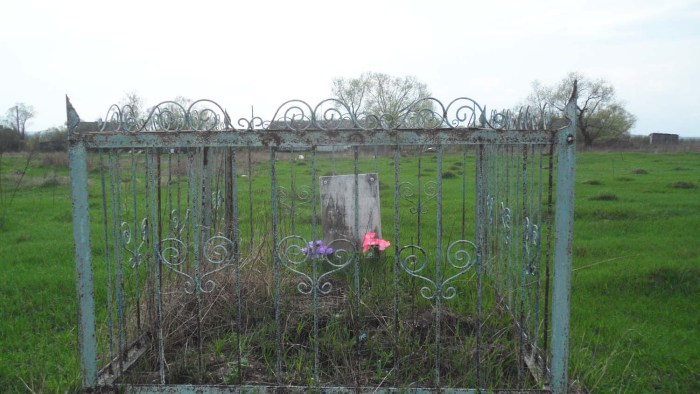 Tshlykovo Chernsky district