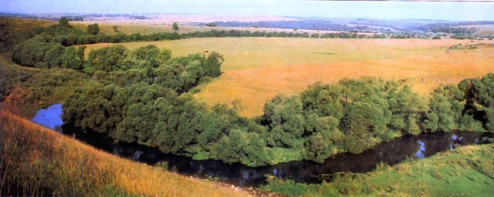 The village of Lipitsy Chernonsky District