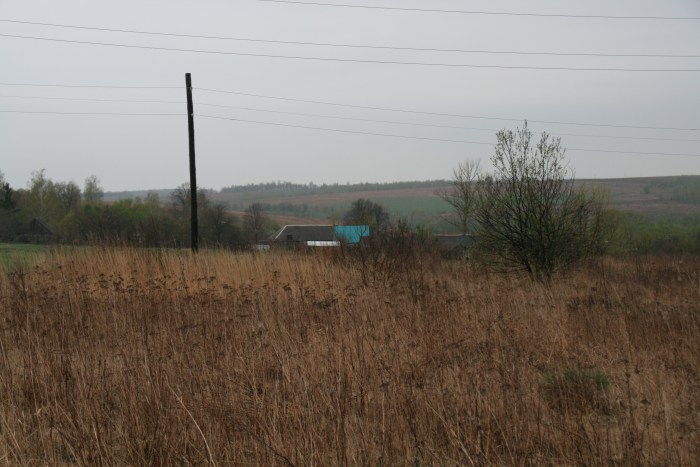 Lipitsa Chernsky district