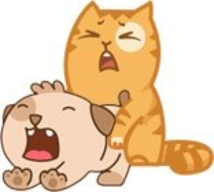 Sticker cat with a member