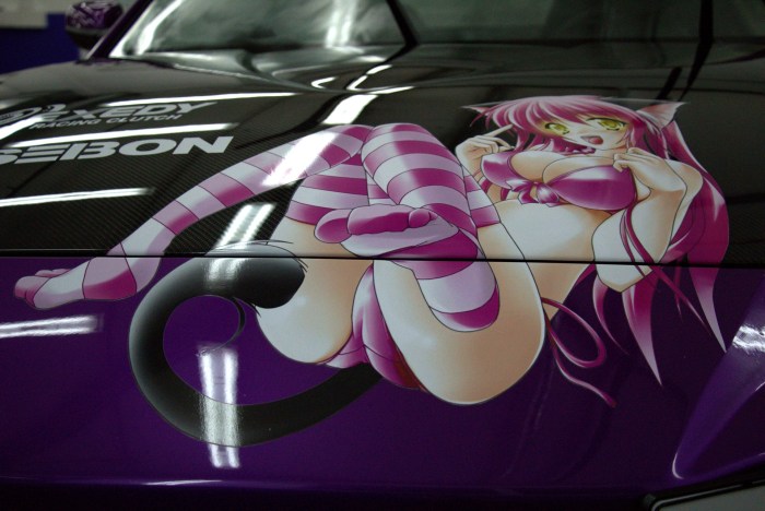 Erotic vinyls for the car