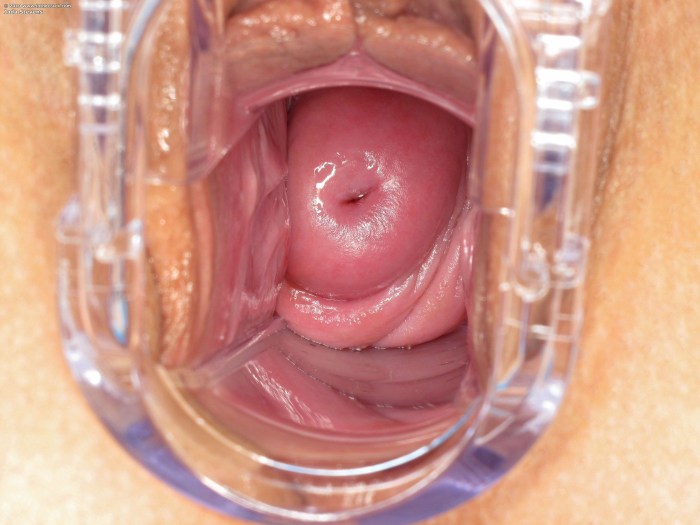 The uterus out of pornography