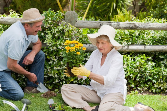 An elderly woman in the garden for Photoshop
