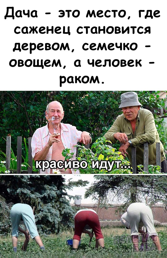 Woman work in the garden