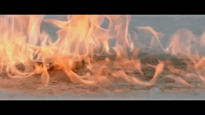 Anna Shulina and Alexander Shulgin