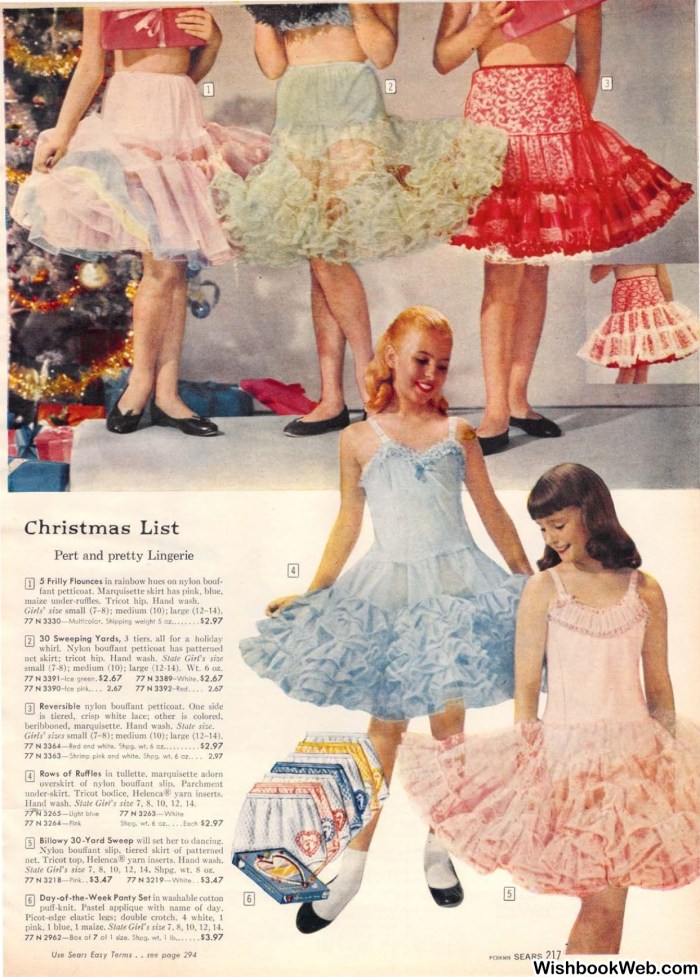 Vintage petticoat