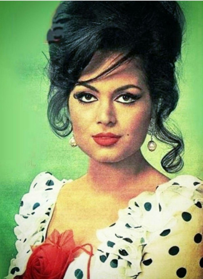 Turkan Shorain to plastic