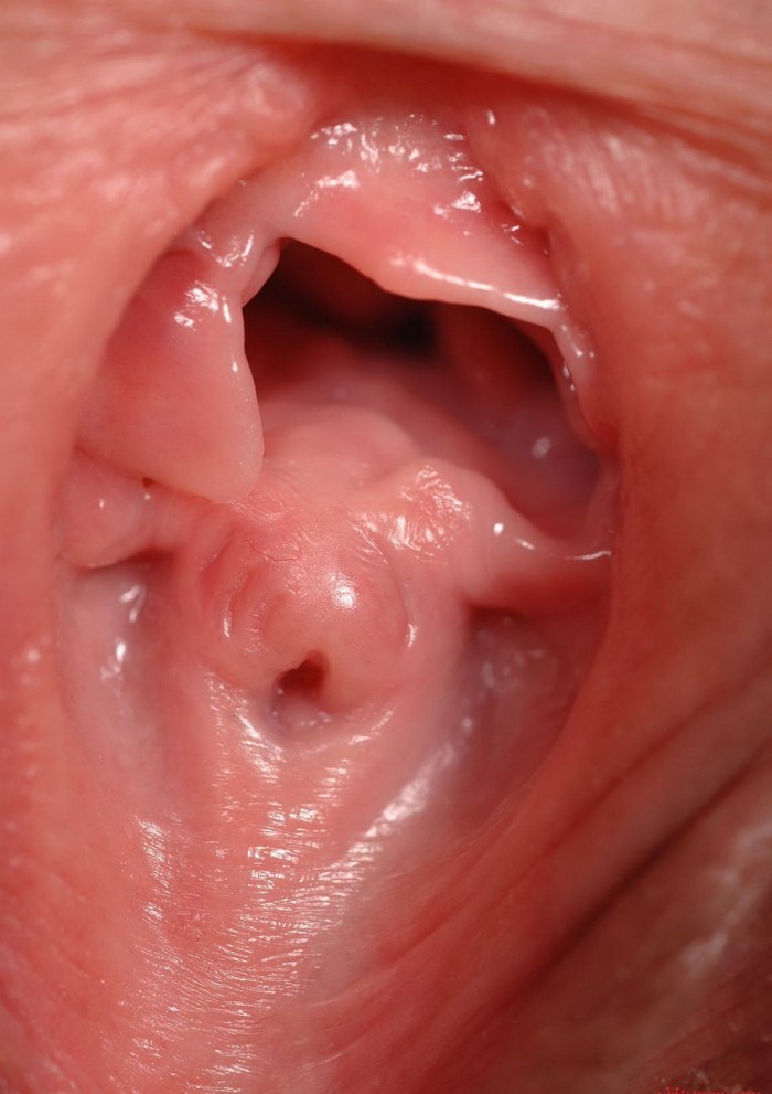 Close -up pussy inside