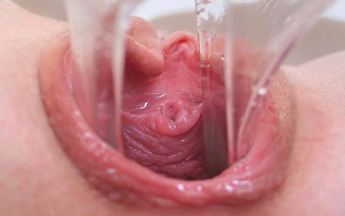 Women's vagina from the inside