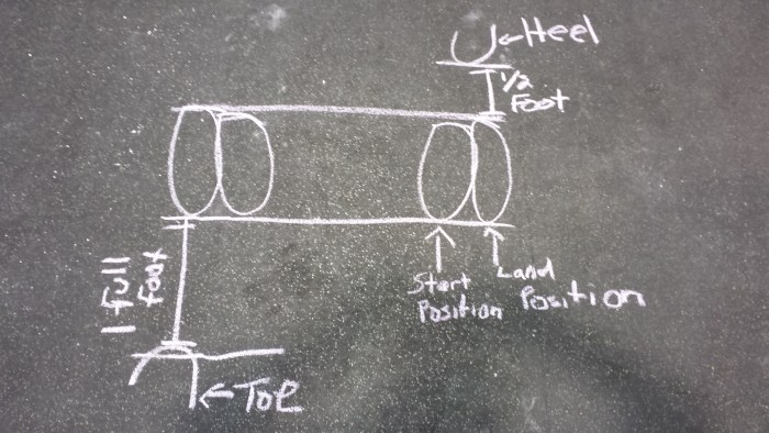 Does Aqua Wear Panties