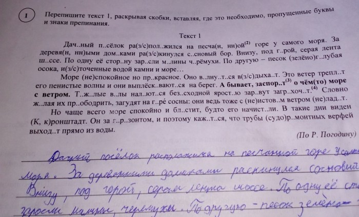 Raspberry Pi 4 HDMI GOOD SCHE