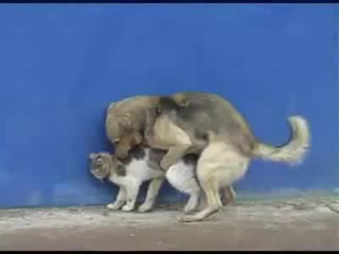 Conspiracies of the Siberian healer Stepanova from fear