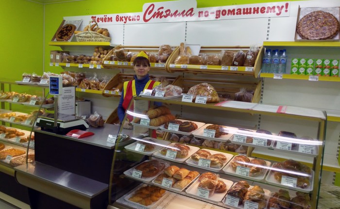 The simulator of the girl