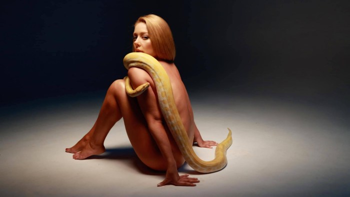 Tina Karol pornography