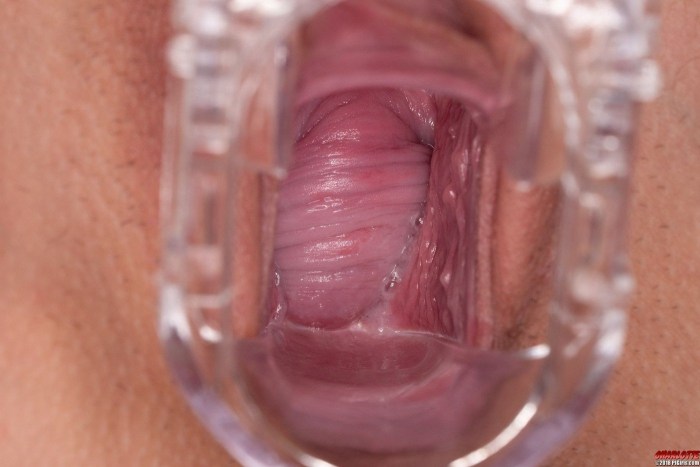 Women's vagina from the inside