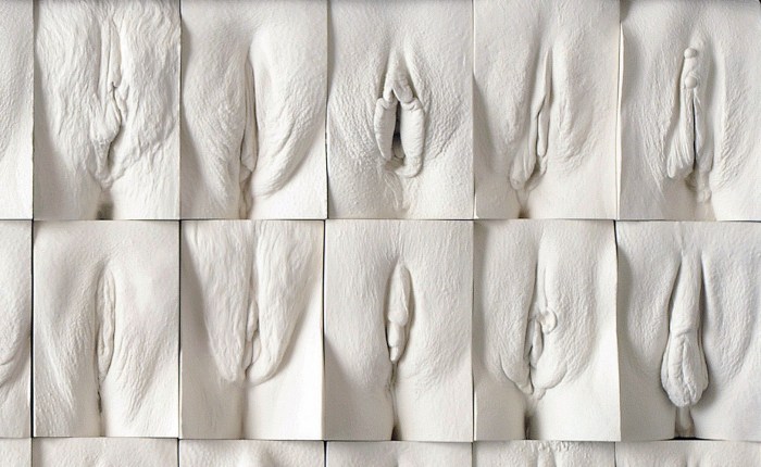 The Great Wall of Vagina Jamie McCartney