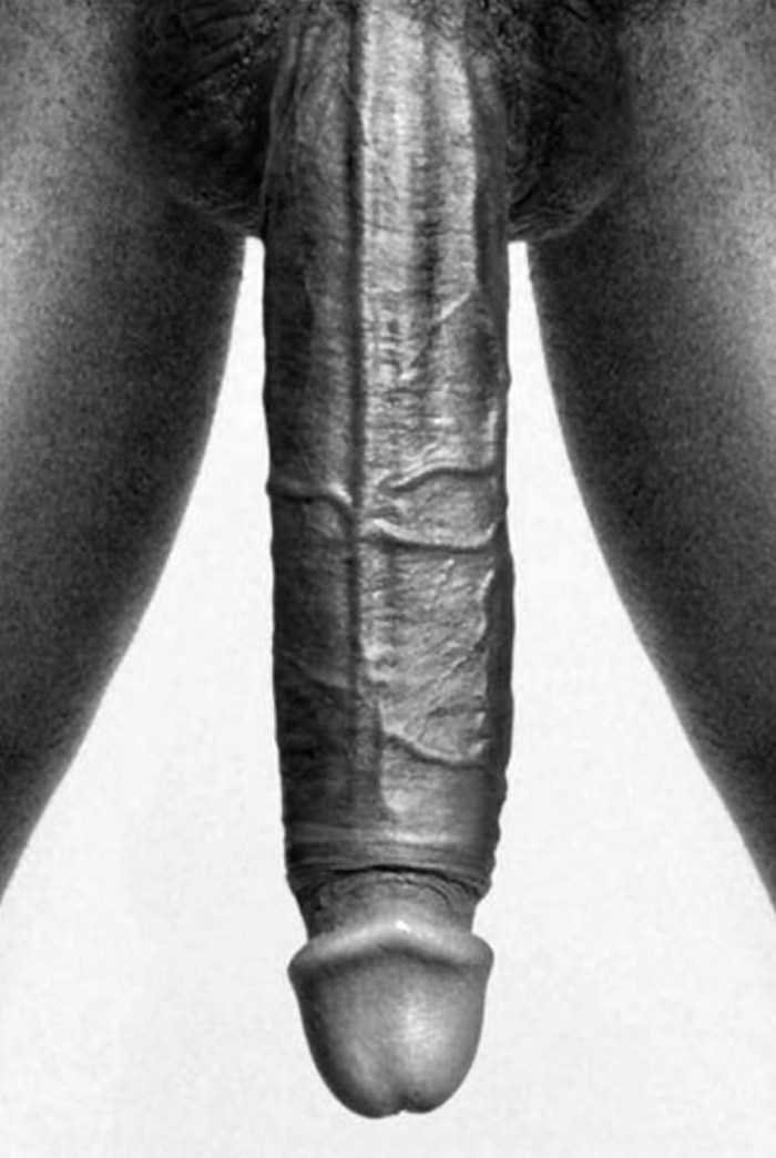 Several beautiful members