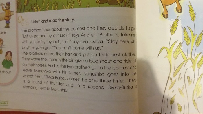 Burka Sivka in English