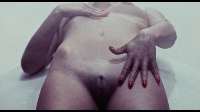 Rachel Bilson Porn Faces