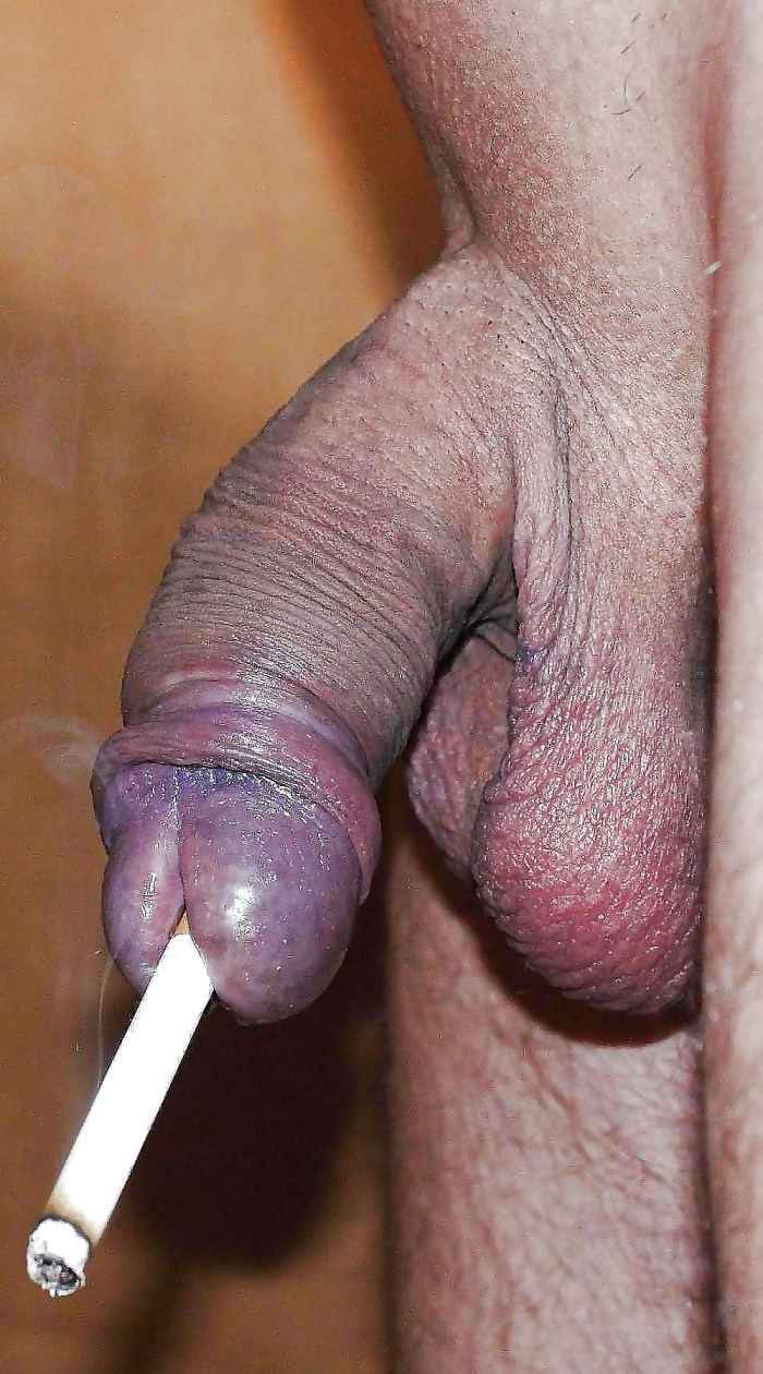 Big Dick Penetrating Analy Gay Cock and Balls
