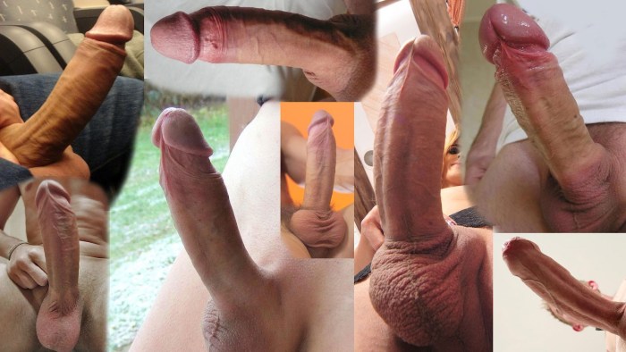 Huge cock close -up