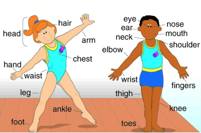 Harassment of the buttocks