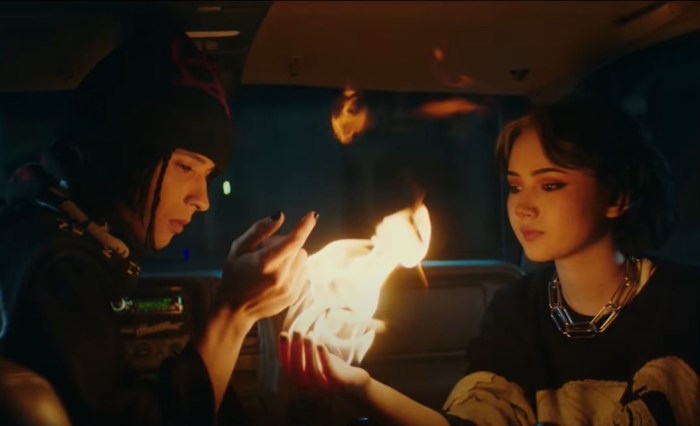 Anatomy of facial expression