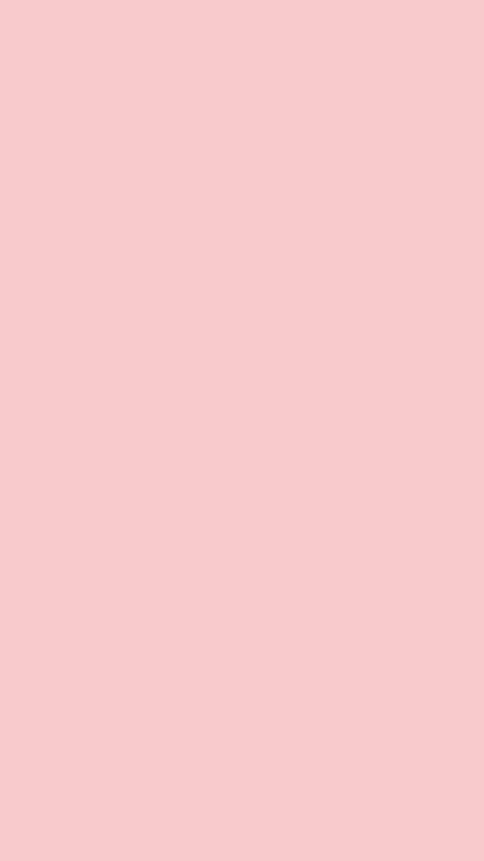 Chip 8534 bs rose