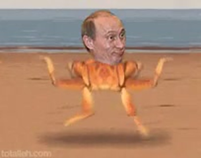 Fertility and ovulation