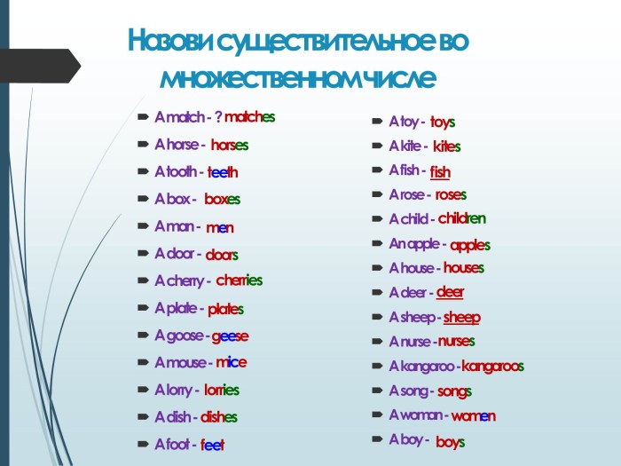 Nouns in the plural in English