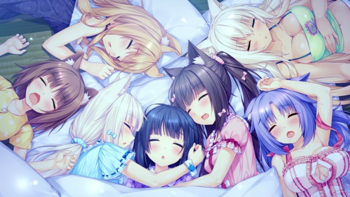 Nekopara 18 cocoon