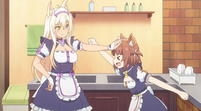 Fly paradise Sinamon