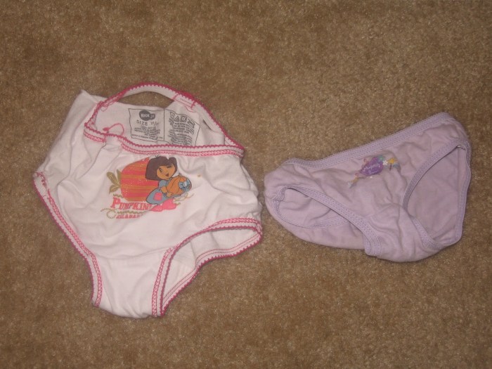 Flaui you are an idiot