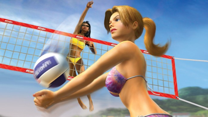 Kinect Sports Beach Volley Ball cameras